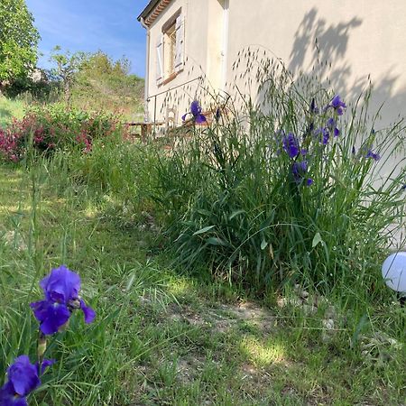 Villa Les Figuiers Cagnes-sur-Mer Exterior foto