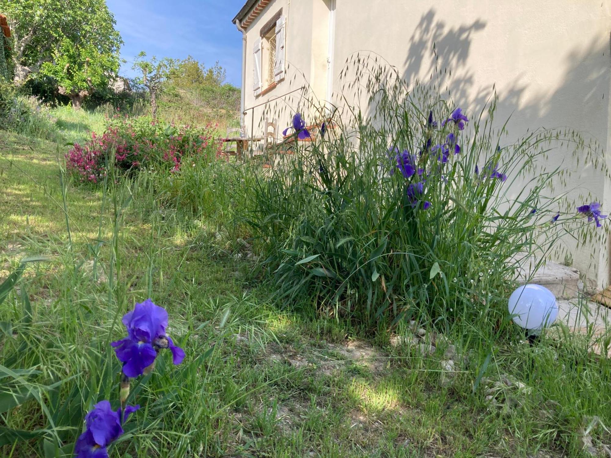 Villa Les Figuiers Cagnes-sur-Mer Exterior foto